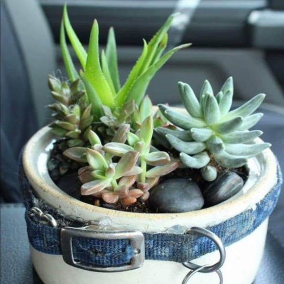 Meet your Posher, Sprezz - Picture 2 of 2